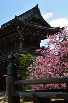 清凉寺多宝塔より