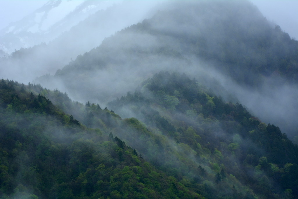 里山は深山幽谷２