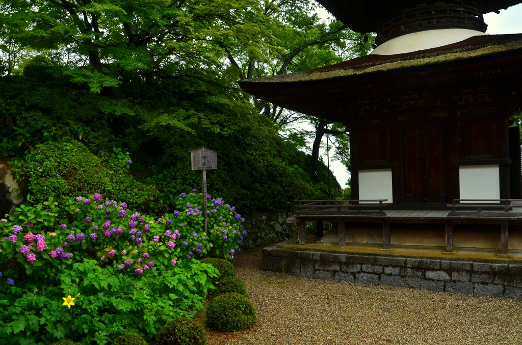 善峯寺・多宝塔