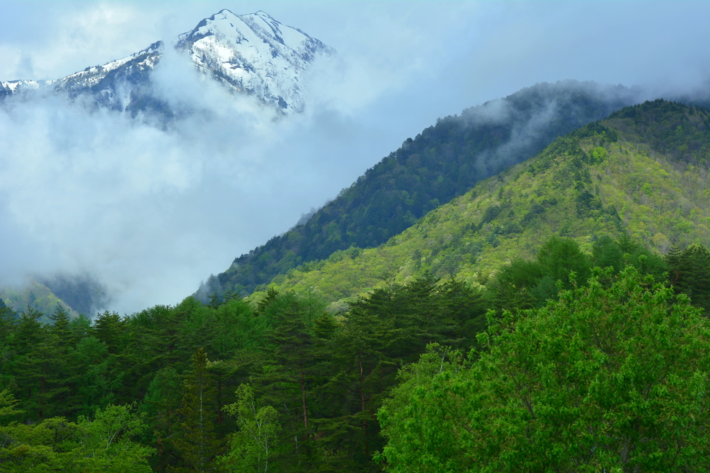 里山は深山幽谷３