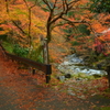 清滝からの帰り道