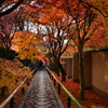 光悦寺・参道３