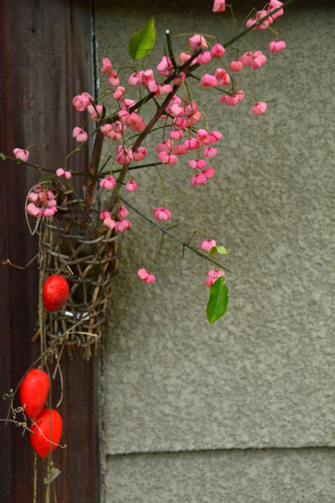 嵯峨野の華やぎ