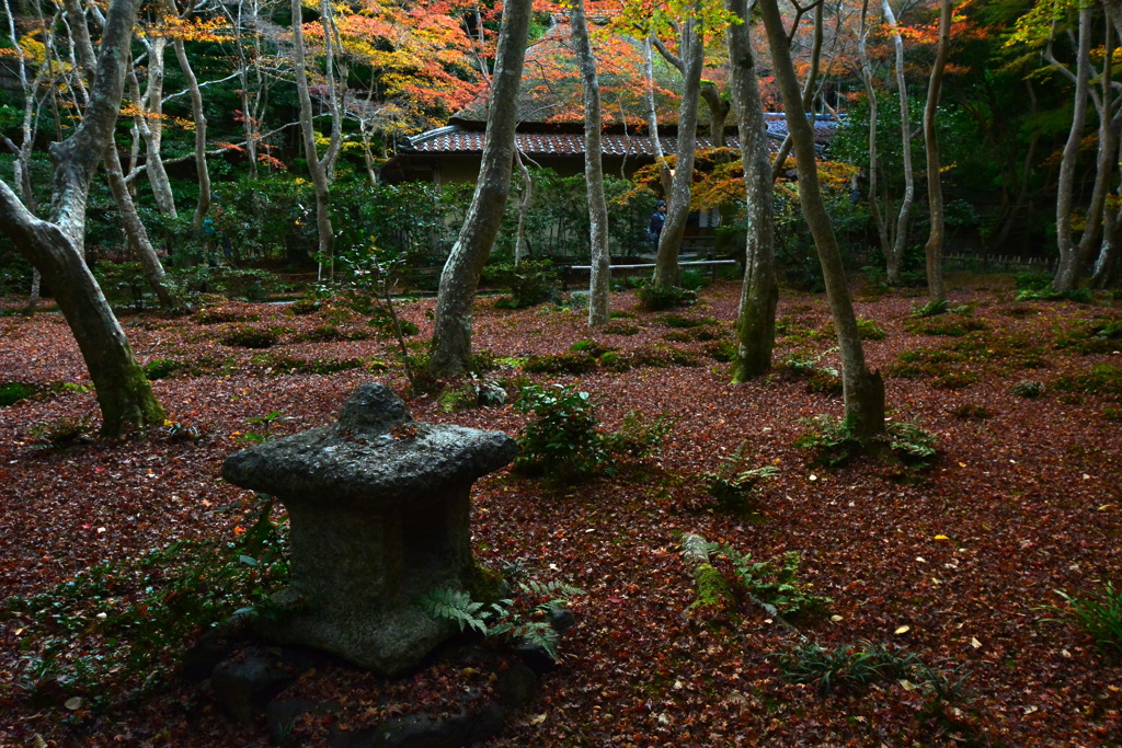 初冬の祇王寺８