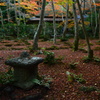 初冬の祇王寺８