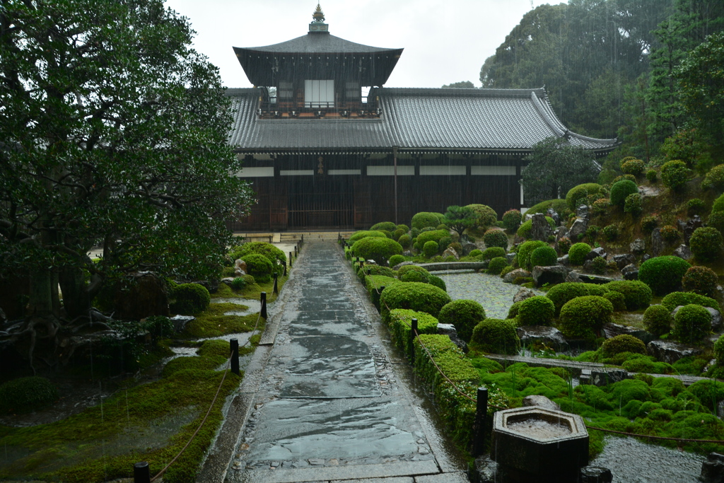 雨の東福寺・開山堂２