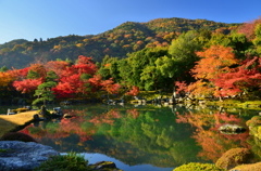 天龍寺曹源池庭園・秋２