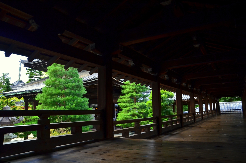 知恩院・鶯張り廊下