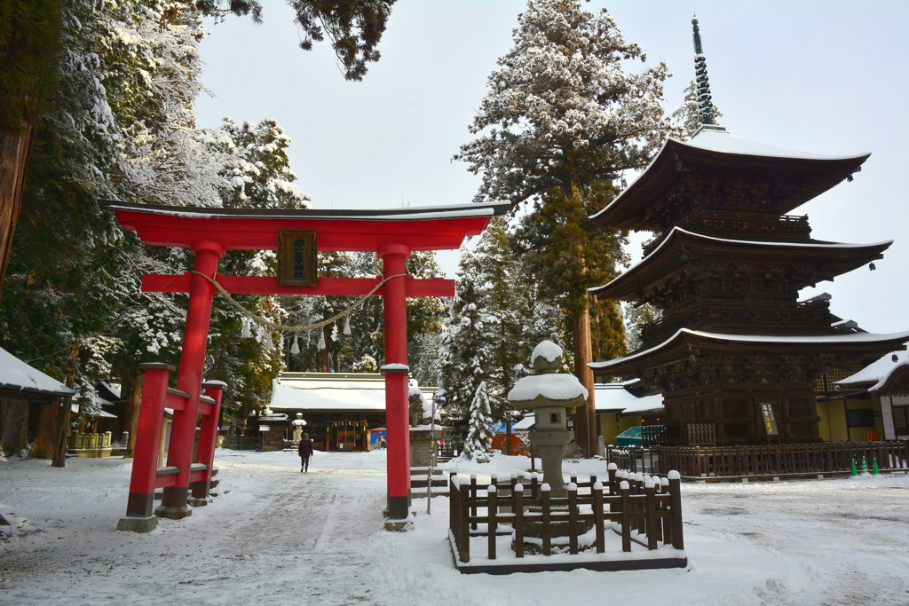 若一王子神社・雪の境内