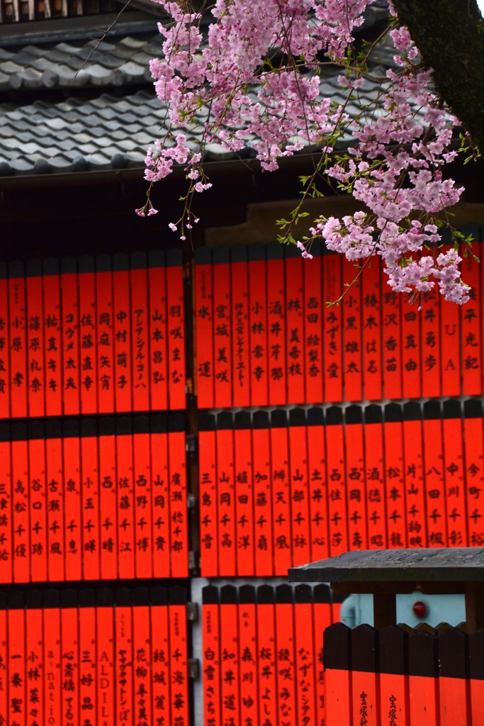 芸能神社の桜２