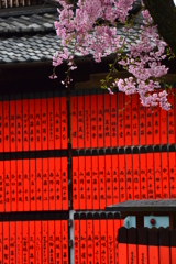 芸能神社の桜２