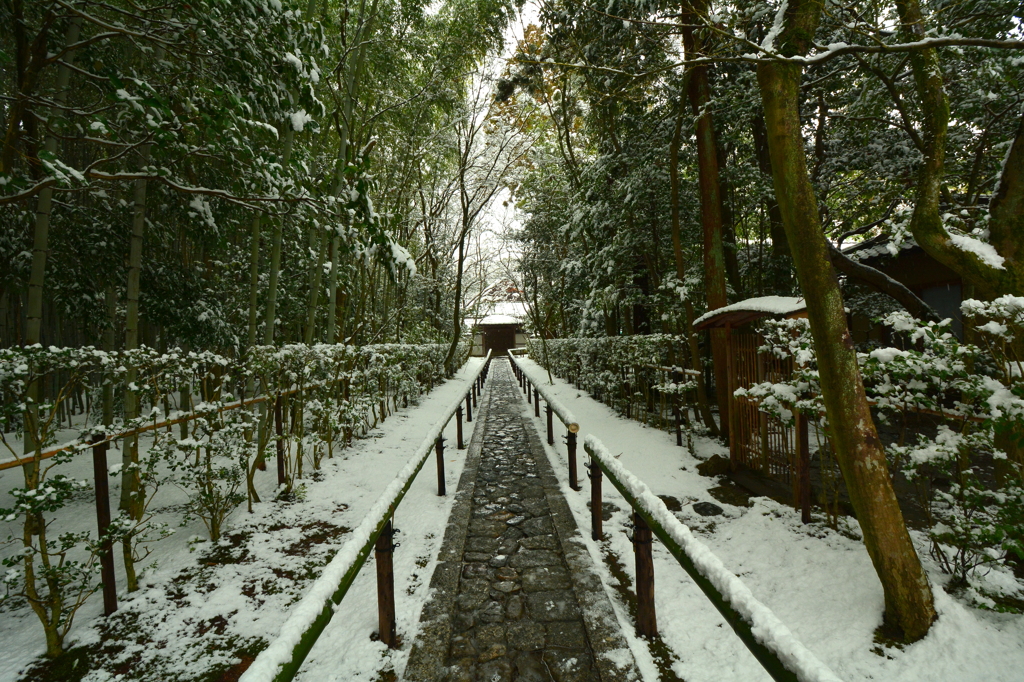 大徳寺高桐院参道・雪景