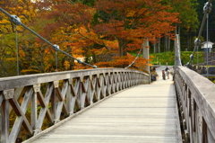 大出吊橋・晩秋