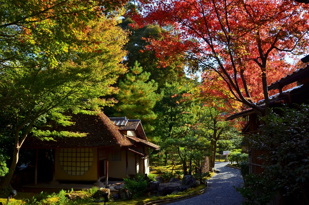 高台寺・遺芳庵