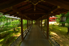 大覚寺・村雨の廊下２