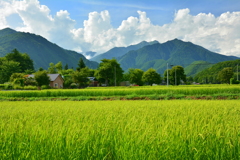 お盆の高原