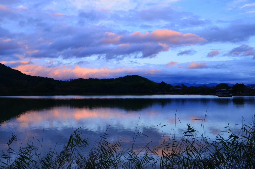 広沢池夕景１