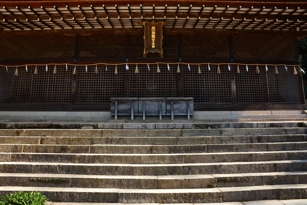 宇治上神社・本殿