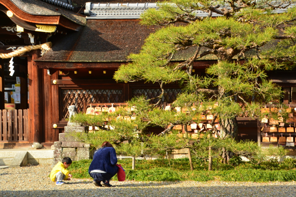 神社は遊び場