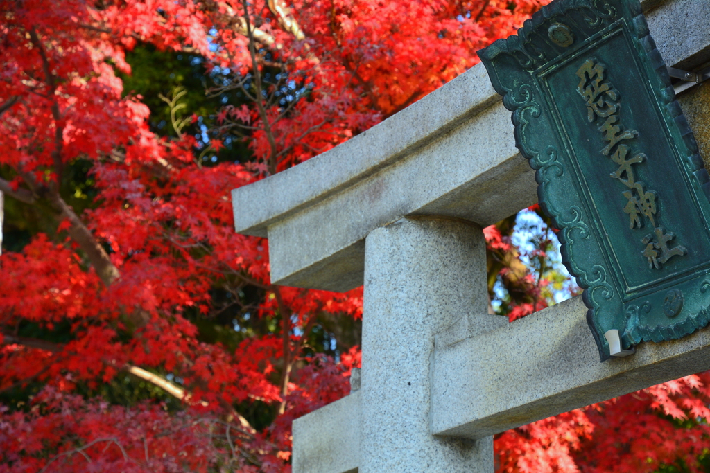 悪王子神社の紅葉