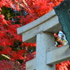 悪王子神社の紅葉