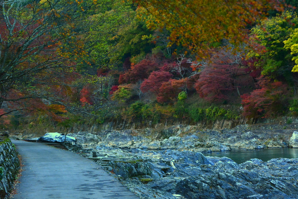 嵐山・保津峡の紅葉２