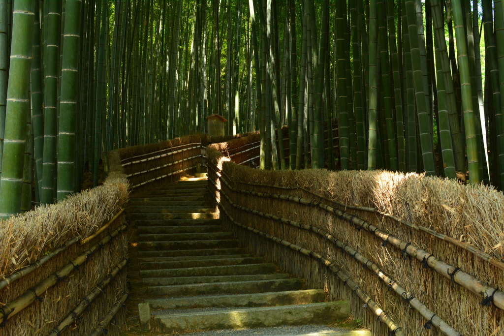 化野念仏寺・竹林の小道