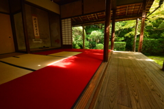 妙心寺桂春院・侘の庭７