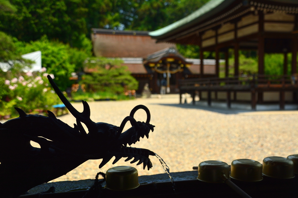 龍の影