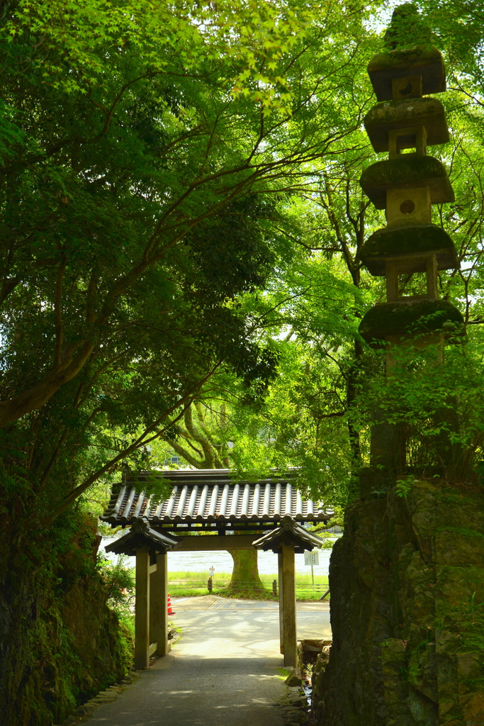 宇治興聖寺・石門と石塔