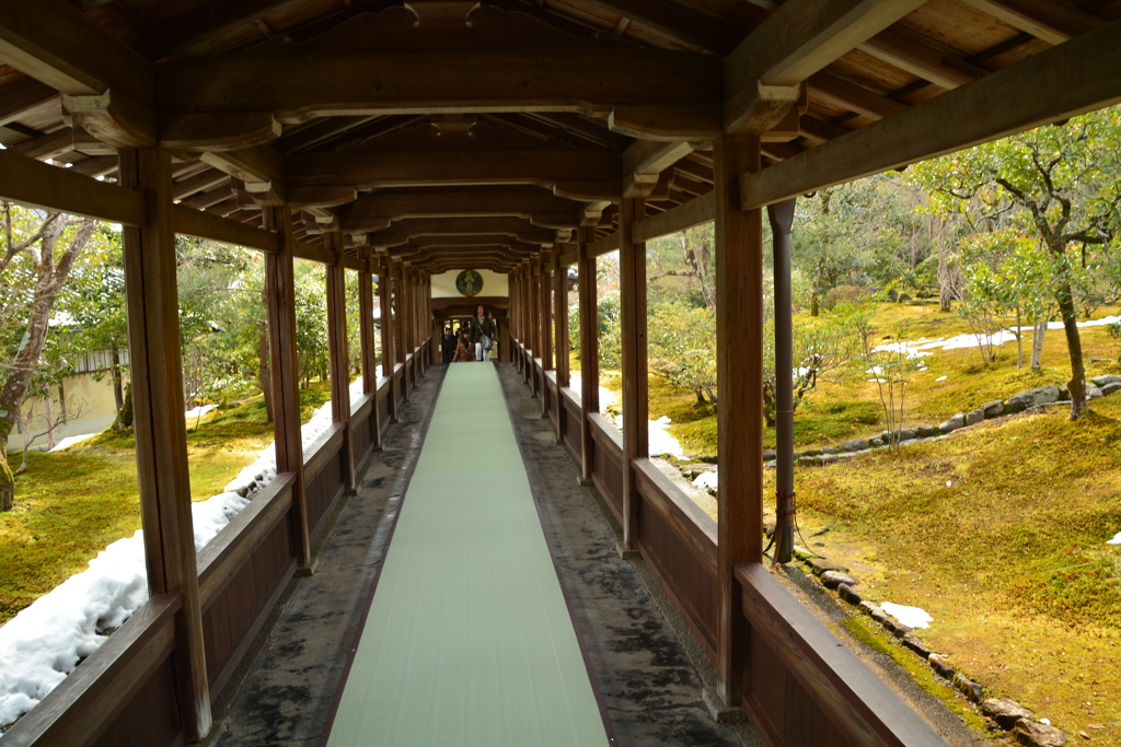 天龍寺・小方丈廊下２