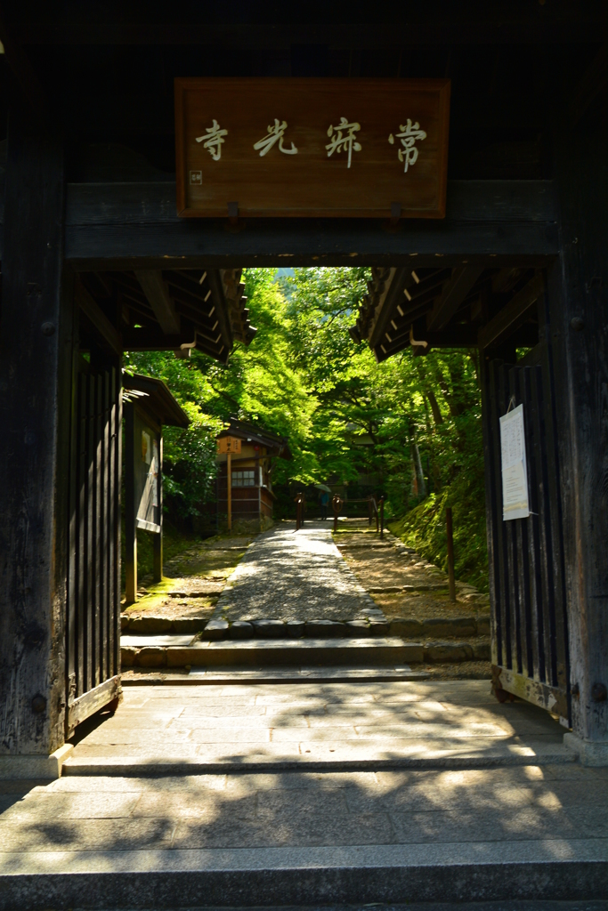 深緑の常寂光寺山門