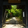 深緑の常寂光寺山門