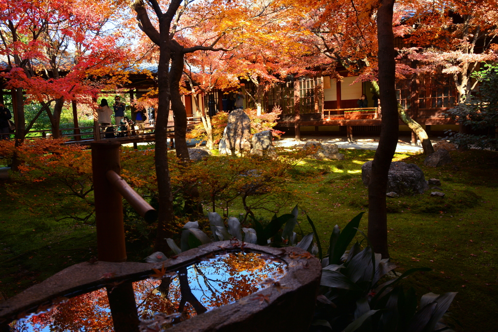 建仁寺・潮音庭の初冬１