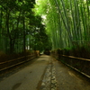 嵯峨野・竹林の道３