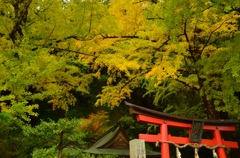 岩戸落葉神社・序幕