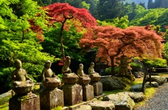 古知谷阿弥陀寺の小庭園