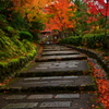 化野念仏寺参道・錦秋