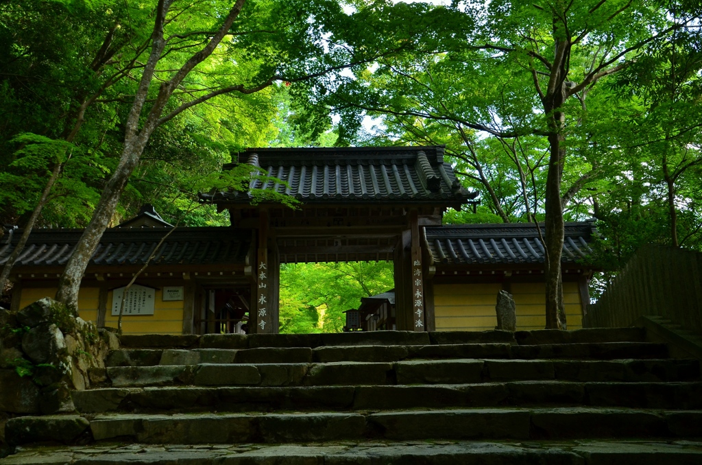 永源寺・総門