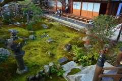 妙心寺麟祥院・庭園