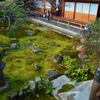 妙心寺麟祥院・庭園