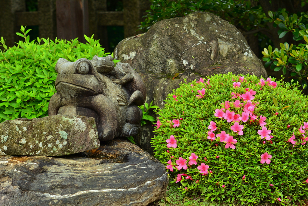 西院春日神社・一願蛙３