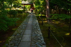 鹿王院・中門を望む