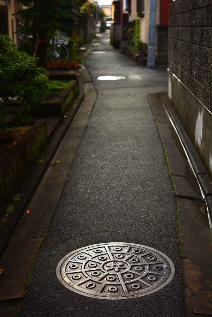 雨上がりの京の路地