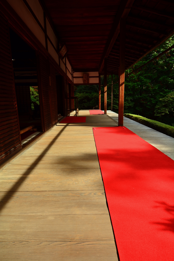 妙心寺桂春院・真如の庭２