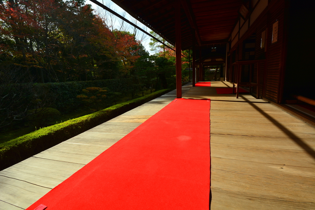 妙心寺桂春院・真如の庭