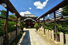 建仁寺・禅居庵４