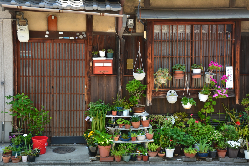 昭和な京町屋スナップ