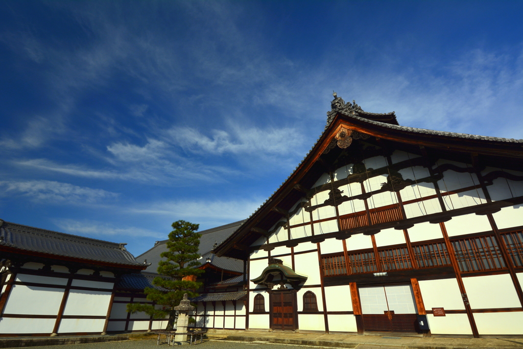 相国寺庫裏の空