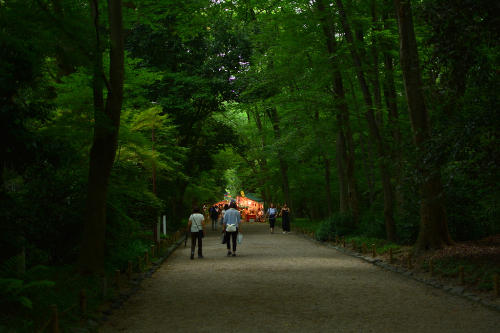 下鴨神社 表参道 By Ginkosan Id 写真共有サイト Photohito